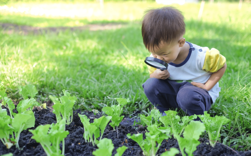 Young boy observing nature